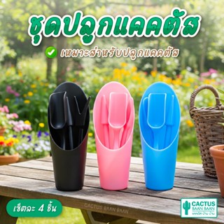 ชุดอุปกรณ์ปลูกแคคตัส และไม้อวบน้ำ เซ็ตอุปกรณ์ปลูกแคคตัส และไ…