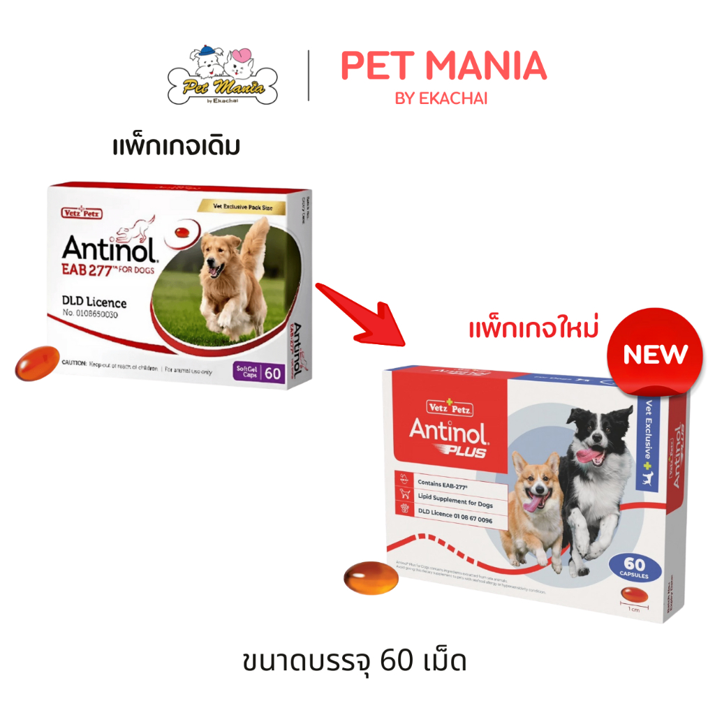 ANTINOL PLUS FOR DOG อาหารเสริมบำรุงข้อสำหรับสุนัข  60 เม็ด เลขทะเบียนอาหารสัตว์ 0108550014