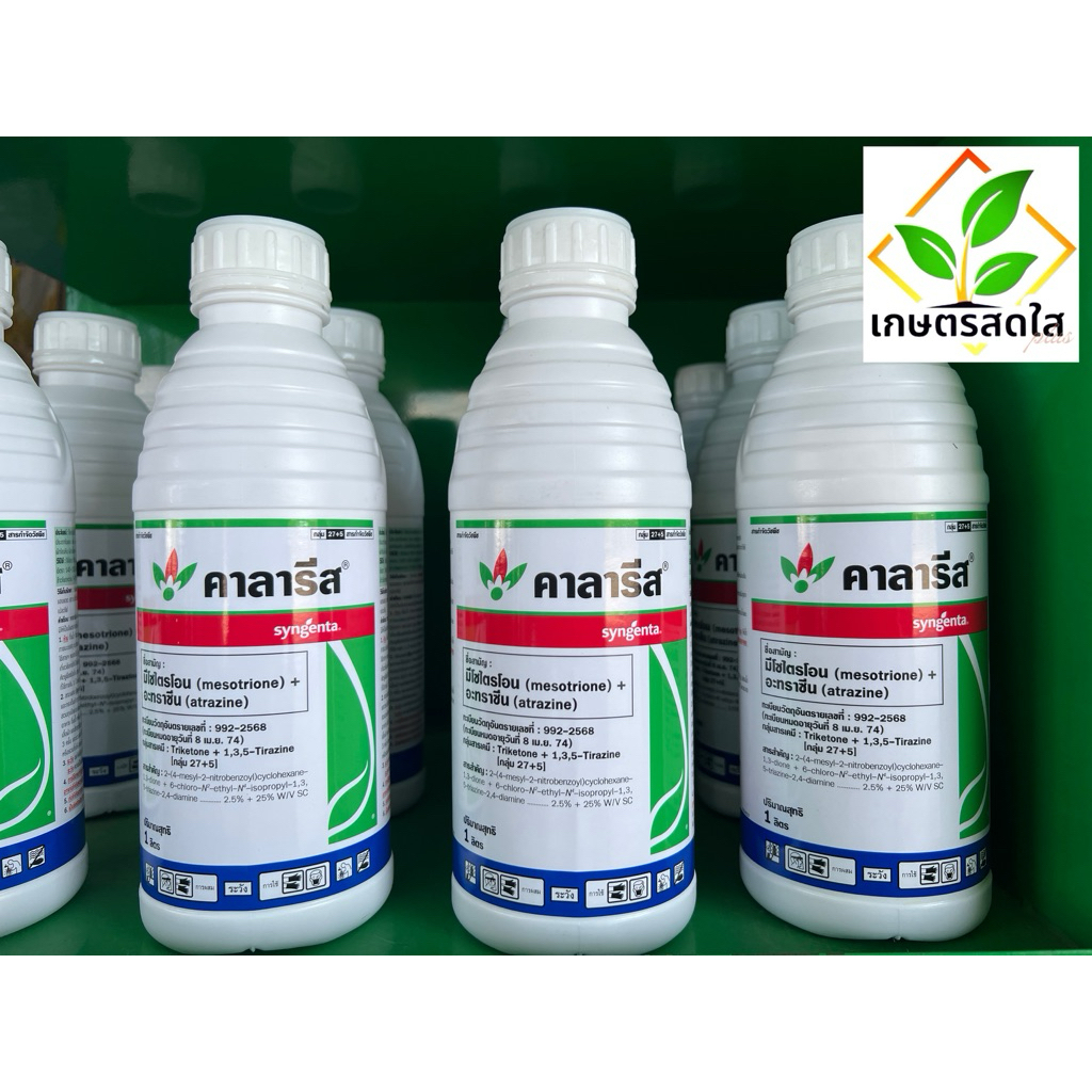 คาลารีส 1 ลิตร ยาฆ่าหญ้าในข้าวโพด พ่นทับได้ปลอดภัยต่อข้าวโพด