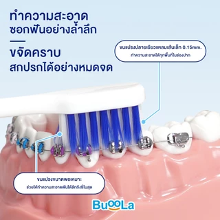 [Set คู่ 2 ชิ้น] Buoola แปรงสีฟัน1 แพค + แปรงกระจุก 1 แพค ขนแปรงนุ่ม ป้องกันฟันผุ