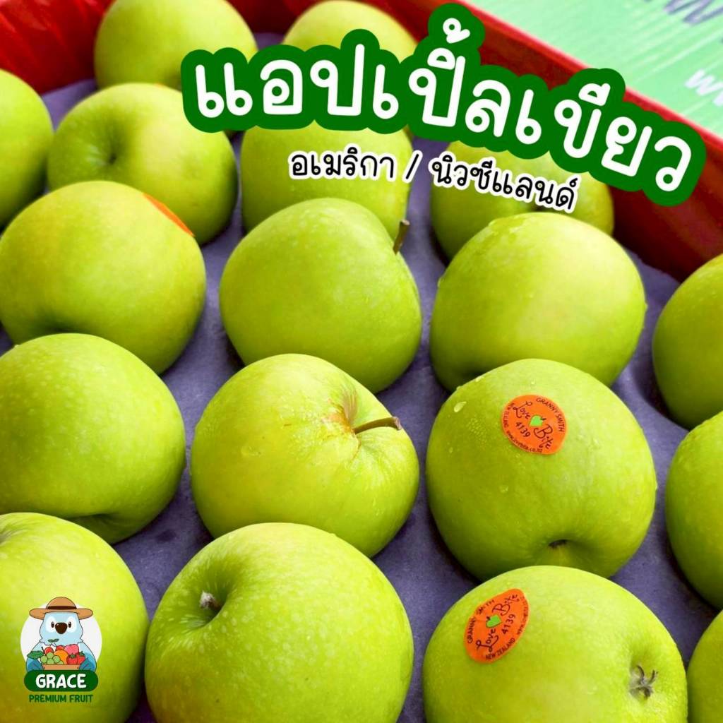 แอปเปิ้ลเขียว นำเข้าจากอเมริกา/นิวซีแลนด์