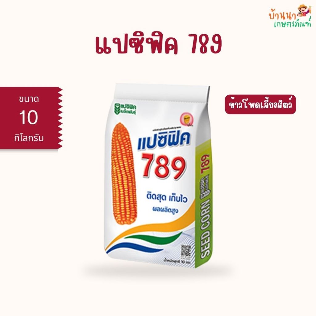 เมล็ดพันธุ์ข้าวโพด แปซิฟิค 789 ผลผลิตสูง ฝักใหญ่ ลำต้นและรากแข็งแรง