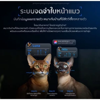 Petkit Yumshare Dual-Hopper With Camera 2 Upgrade [รุ่นใหม่2026] เครื่องให้อาหารอัตโนมัติ กล้องตรวจจับด้วย AI
