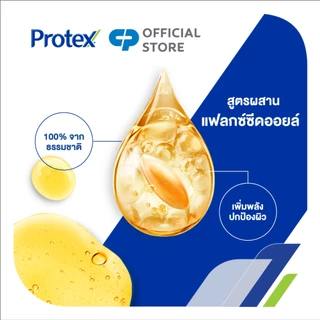 [มี 3 แพ็คให้เลือก] โพรเทคส์ แฟมิลี่ 250 มล. ช่วยชำระล้างสิ่งสกปรก (สบู่เหลวล้างมือ)