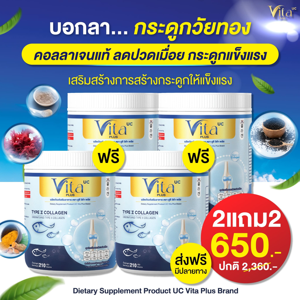 VITA COLLAGEN (210 กรัม) : สูตรเข้มข้น หยุดปวด ป้องกันสูญเสียคอลลาเจน