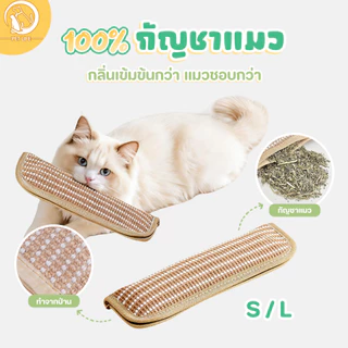 หมอนแมว หมอนอิงแมว ที่อัดแน่นด้วยกัญชาแมว 100% ที่ขัดฟันและกรงเล็บ คลายเครียดและช่วยให้นอนหลับ