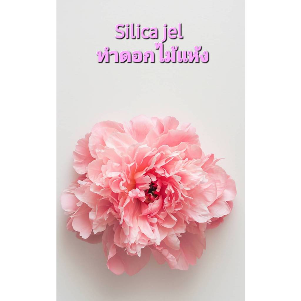 1 Kg  Silica jel ดอกไม้แห้ง อบดอกไม้  ทรายสังเคราะห์ ดูดซับความชื้นได้ดี เม็ดกันชื้น ป้องการการเกิดเชื้อรา ราคา ถูกที่สุด ดีลบีเคเค แกลเลอรีภาพที่ 4