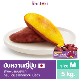 ShiTori | มันหวานญี่ปุ่น เบนิฮารุกะ ไซส์ M ยกลัง 5 กก. กลิ่น…