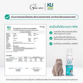 Goodboss SET ดูแลผิวแมว พ่นทั่วตัว Cat Spray + Roller Cat | ลดเชื้อรา ลดคัน ลดขนร่วง สูตรธรรมชาติ