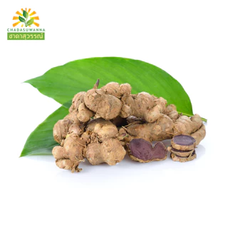 กระชายดำบดผง 100 กรัม คุณภาพ A+ มาตรฐาน GMP black ginger powder Top Quality ตรา ชาดาสุวรรณ์ Chada