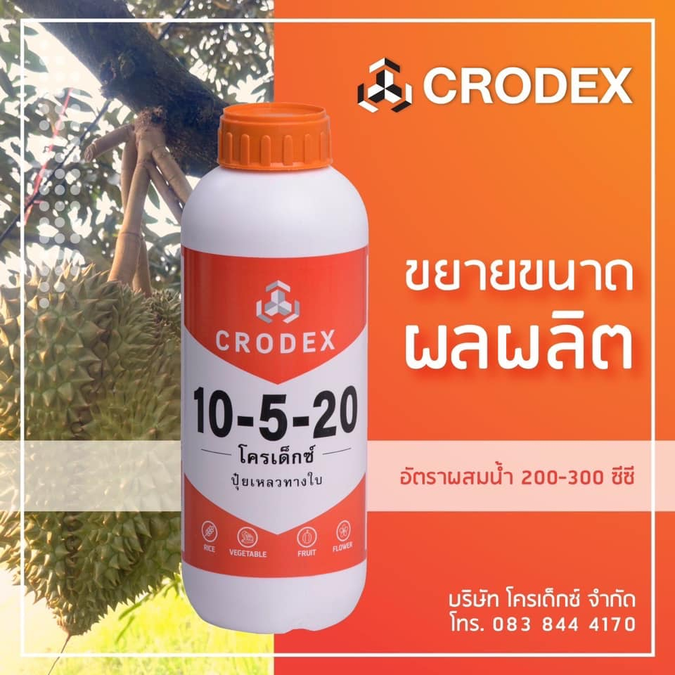 10-5-20 ขนาด 1 ลิตร โครเด็กซ์ บำรุงลูก ช่วยขยายลูก เพิ่มการสร้างเนื้อ ต้นไม่โทรม เพิ่มคุณภาพผลผลิต