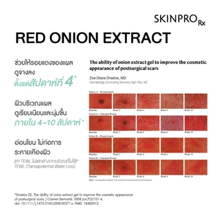 SKINPRO Rx Acne X Spot Repair 5ml ครีมลดปัญหารอยแผลจากสิว รอยแดง รอยดำ รอยแผล ลดการเกิดสิวซ้ำ
