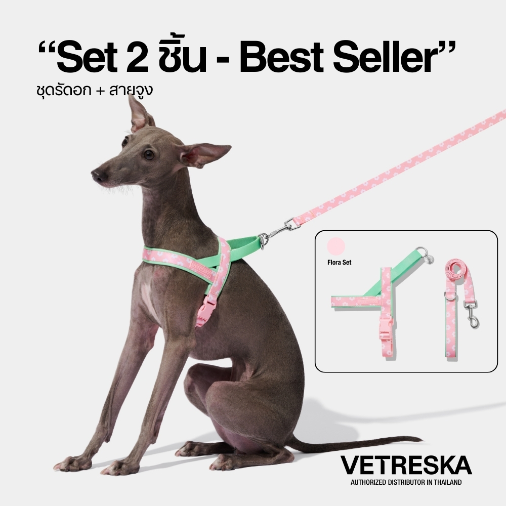 VETRESKA ชุดสายรัดอก เชือกจูง สุนัข Flora Pet Harness & Leash Set