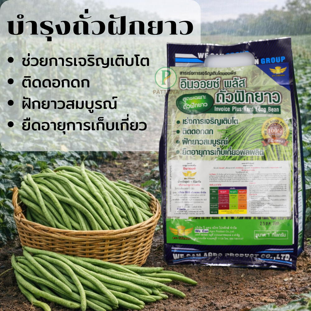 อินวอยซ์ พลัส สูตรเฉพาะถั่วฝักยาว (ฮอร์โมนบำรุงถั่วฝักยาว) 1.kg / 400g. แตงต่างๆ พริก ถั่วลันเตา มะเขือต่างๆ ผักกาดหอม!!