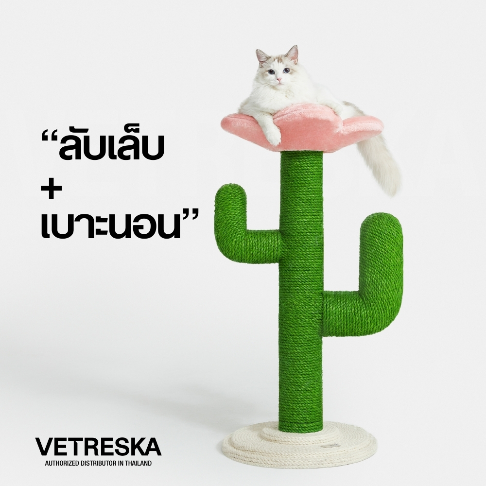 VETRESKA  ที่ลับเล็บแมว Blooming Cactus Cat Tree