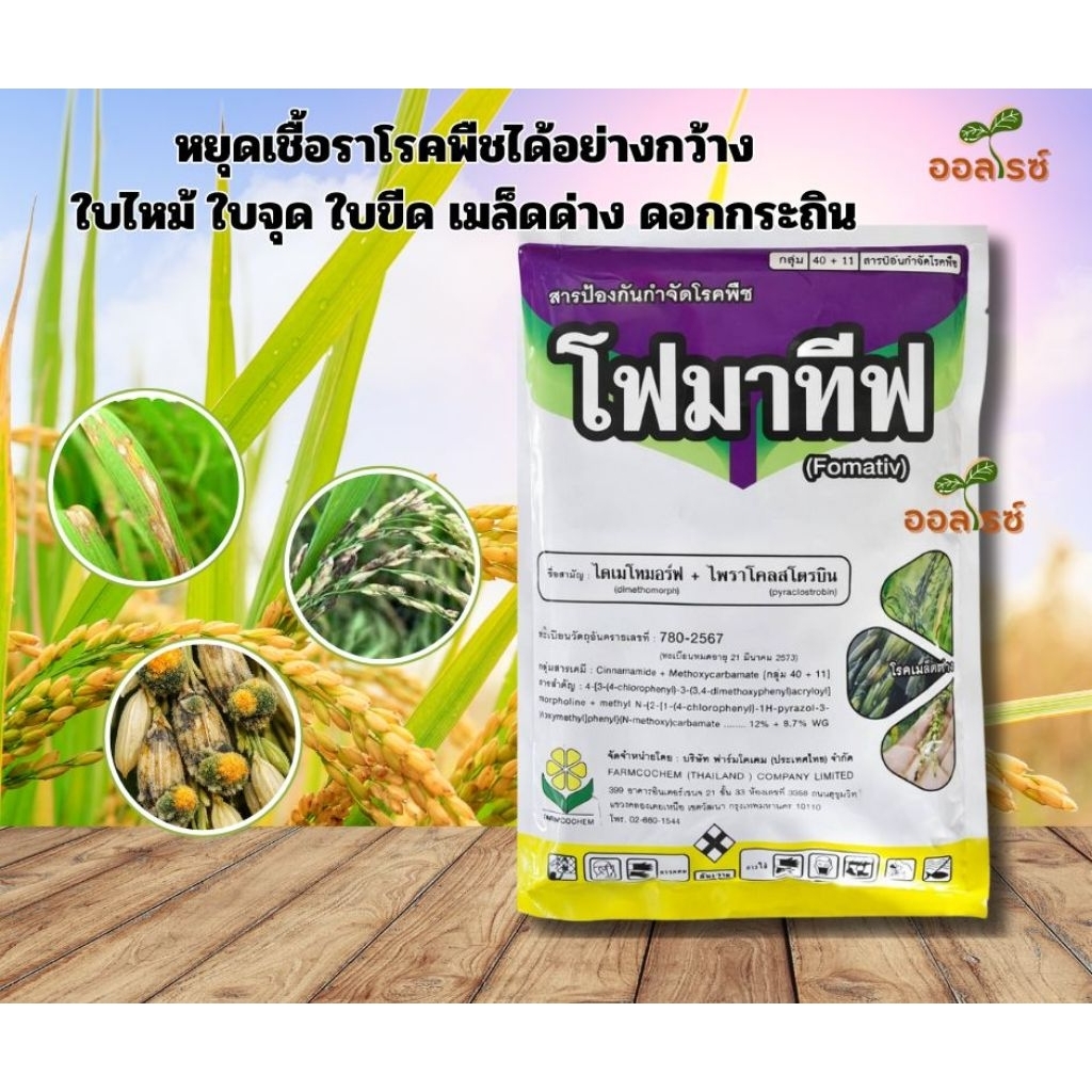 โฟมาทีฟ ขนาด 500 กรัม ไดเมโทเมอร์ฟ+ไพราโคลสโตรบิน ป้องกันโรคเมล็ด ใบไหม้ ดอกกระถินในนาข้าว โรคฟิวซาเรียมในทุเรียน