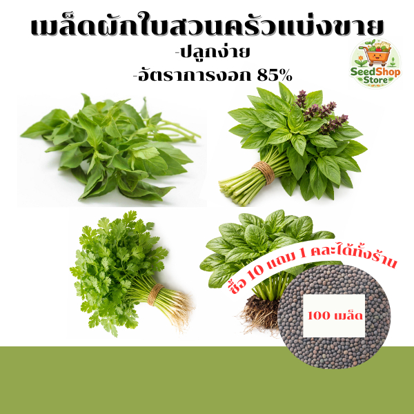 เมล็ดผักใบสวนครัวแบ่งขาย 100 เมล็ด ผักชี โหระพา แมงลัก ผักโขม