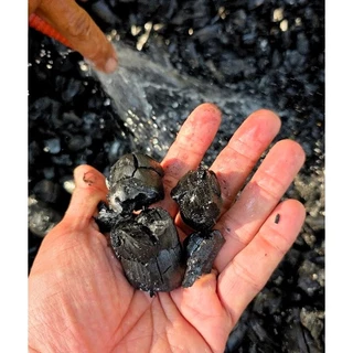 ถ่านไบโอชาร์ BIOCHAR ไบโอชาร์หมักจุลินทรีย์ เพิ่มรูพรุนในดิน ทำให้ดินโปร่ง ระบายน้ำ และอากาศดีขึ้น ขนาด 2 ลิตร