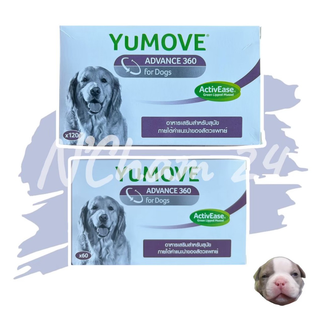 Yumove advance 360 Dog (สูตรใหม่) หมดอายุ10/2026 อาหารเสริมบำรุงข้อ กระดูก ทำจากธรรมชาติ