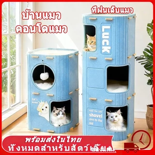 บ้านแมว คอนโดแมว ใหญ่ 2-3 ชั้น ทรงกระบอก ที่ฝนเล็บแมว บ้านลับเล็บแมว กล่องแมว แมว ของเล่นแมว บ้านแมวแครอท ที่นอนแมว