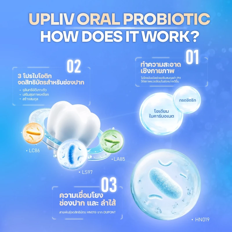 UPLIV 30เม็ด-โพรไบโอติกช่องปาก Oral Probiotics 50พันล้านCFU ฟองละลายทันทีใน 1 วินาที ขจัดกลิ่นปาก รักษาสุขภาพลำไส้ thumbnail 3