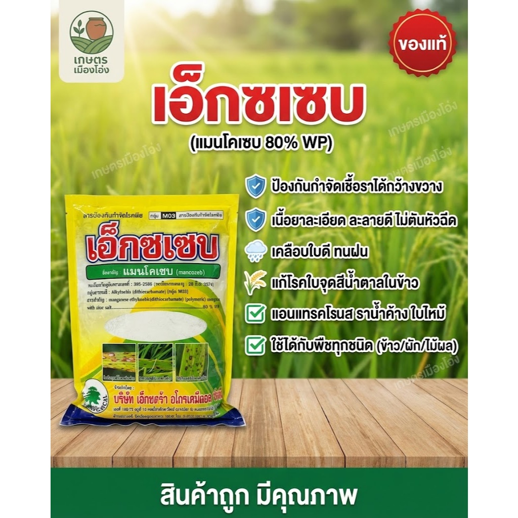 เอ็กซเซบ แมนโคเซบ(สีเหลือง)สารป้องกัน กำจัดเชื้อรา 80% 1 กิโลกรัม #เอ็กซเซบ #แมนโคเซบ #กันรา #กำจัดเชื้อรา