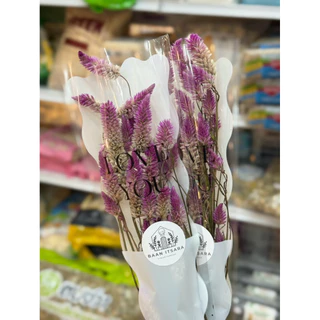 Baan Itsara ดอกไม้แห้ง ตกแต่งกรงหนูแฮมสเตอร์ สามารถแทะเล่นได้ ปลอดภัย100%