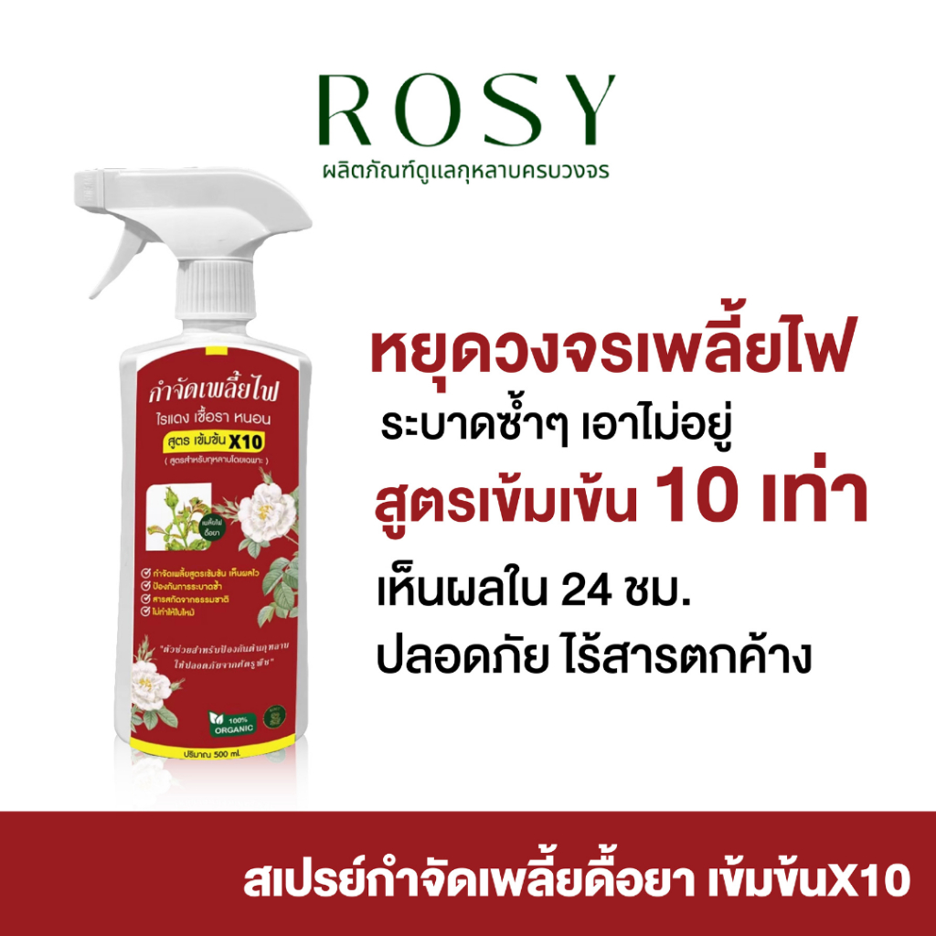 Rosy กำจัดเพลี้ยไฟดื้อยๅ [ฉลากแดง สูตรเข้มข้น X10 ] สำหรับกุหลาบ ไม่กลับมาระบาดซ้ำ ไม่ทำให้ใบไหม้ ไม่ดื้อยา รูปที่ 7