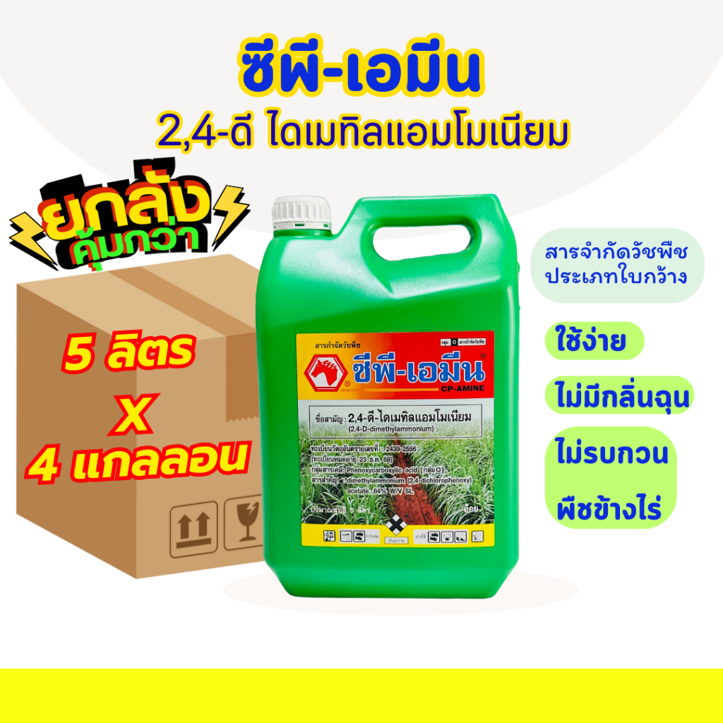 [ยกลัง5ลิตร*4แกลลอน] ซีพี-เอมีน 2,4-ดี ใบกว้าง ผักบุ้ง กก หญ้าขน แห้วหมู ตายสนิท️️️ ใช้ง่ายไม่มีกลิ่น ไม่รบกวนพืชข้างไร่