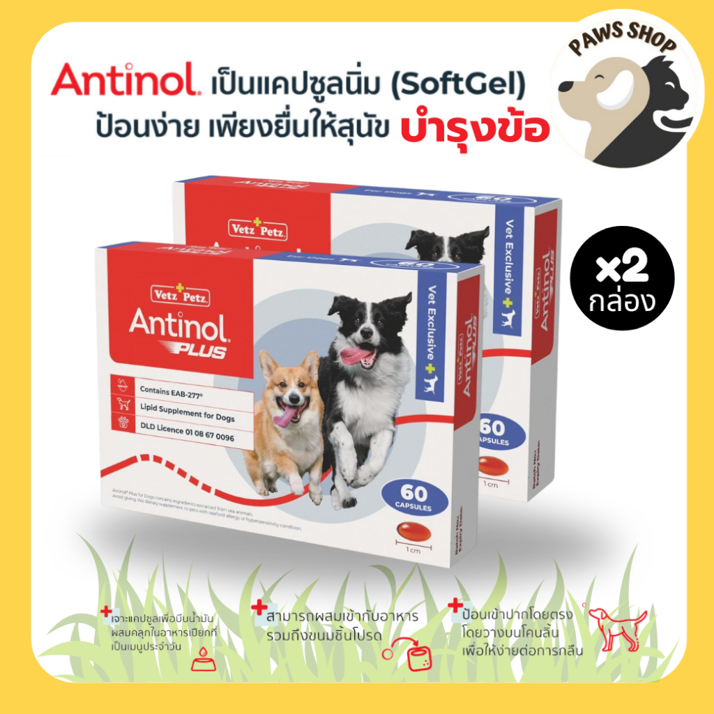 [ของแท้ 100%][2 กล่อง] แอนทินอล Antinol® EAB 277™ บำรุงข้อ กระดูก สุนัขทานได้ตั้งแต่ 6 เดือนขึ้นไป