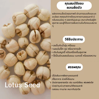 ผงเมล็ดบัว 100% (Lotus Seed Powder) ขนาด 100 กรัม