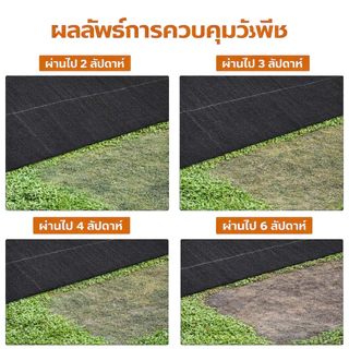 พลาสติกคลุมดิน ผ้าคลุมดิน พลาสติกคลุมหญ้า ฆ่าหญ้า 50 เมตร 100 เมตร คลุมวัชพืช ผ้าคลุมหญ้า กําจัดหญ้า【ผ้าป้องกันวัชพืช】