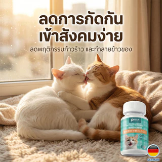 [พร้อมส่ง] PetClear Tablet วิตามินอารมณ์ดี กินง่าย ปรับสมดุลอารมณ์ ลดความกังวล หลับสบาย ปลอดภัย 100%