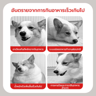 Petstar ชามอาหารสุนัข ชามชะลอการกิน วัสดุสแตนเลส ไม่เป็นสนิม ฐานกันลื่น ขอบต่ำ กินสะดวก ช่วยชะลอการกิน Pet food bowl