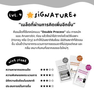 กาแฟหวาน MaeMon Anaerobic Slow Dry เมล็ดกาแฟคั่ว Single Origin ดอยแม่มอญ จ.เชียงราย by Nite Coffee