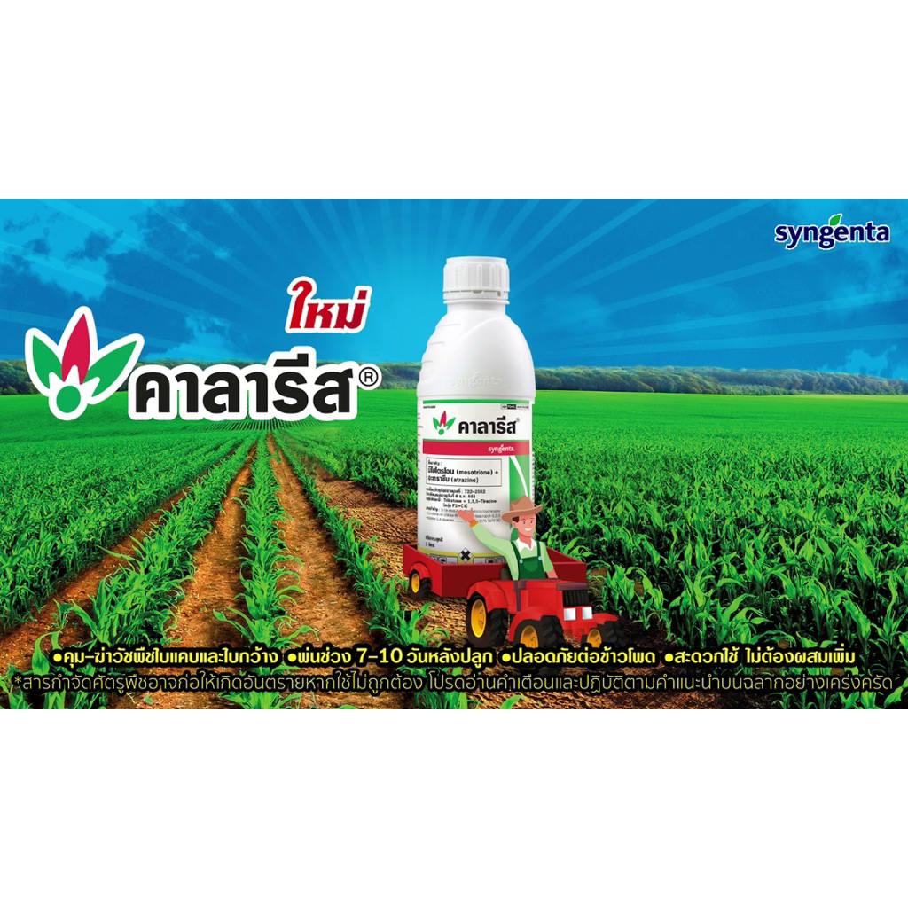 คาลารีส (มีโซไตรโอน+ อะทราซีน)คุมหญ้าใบแคบ/ใบกว้าง ผักเบี้ย,ตีนกา,หญ้าดอกขาว ในข้าวโพด อ้อย