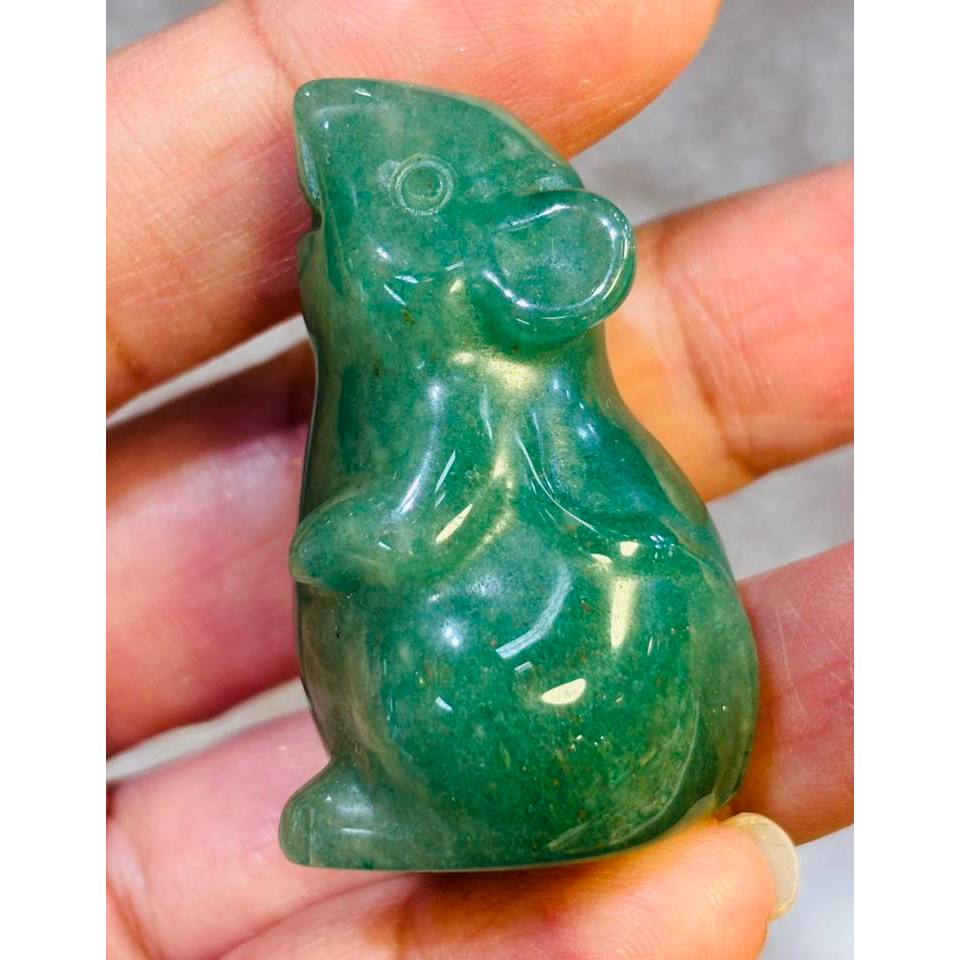 11/2/69หนูอะเวนเจอรีน 2.5x4เซน