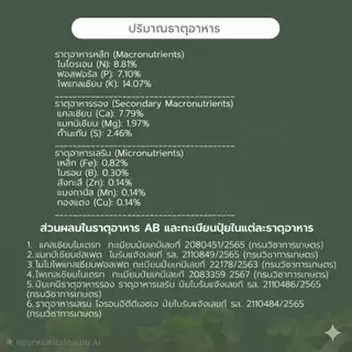 ปุ๋ย AB ปุ๋ยไฮโดรโปนิกส์ ปุ๋ยเอบี ขนาด(**5 ลิตร**)(*10 ลิตร**) ปุ๋ยผักสลัด ใช้ได้ทั้งระบบน้ำนิ่ง และ น้ำวน