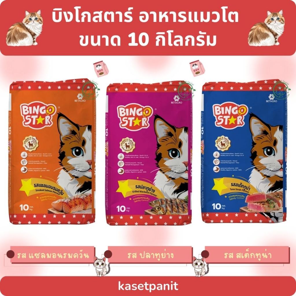 Bingo Star บิงโกสตาร์ อาหารแมวโต ขนาด 10 กิโลกรัม
