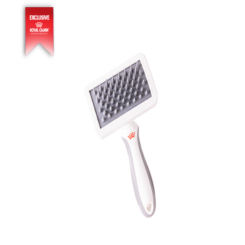 (ของแถม งดจำหน่าย) Cat Grooming Brush