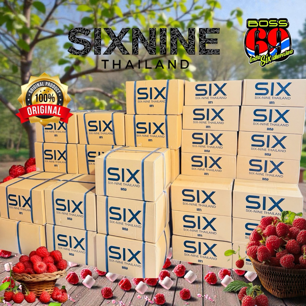 six-nine syrup  (ยกลัง )ไซรัปน้ำหวานเข้มข้น กลิ่นราสเบอร์รี่ ตราซิกไนน์