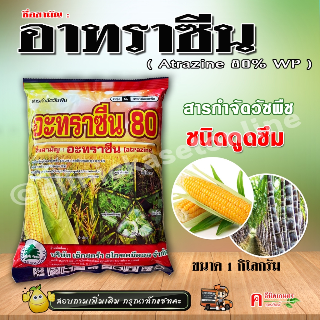// แพ็ค 6 กก. // อาทราซีน80% WP (ผง)( 1KG ) อะทราซีน สารกำจัดวัชพืชใบแคบ-ใบกว้าง ในอ้อย ข้าวโพด – โปรปัง