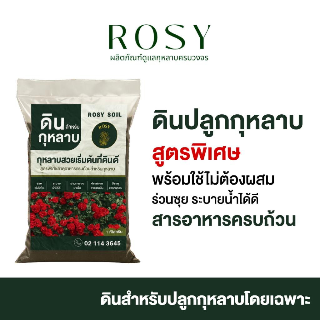 Rosy ดินกุหลาบ ผสมขุยมะพร้าว มูลไส้เดือน แกลบหมักอินทรีย์ หมักกับน้ำหมักชีวภาพจากปลา