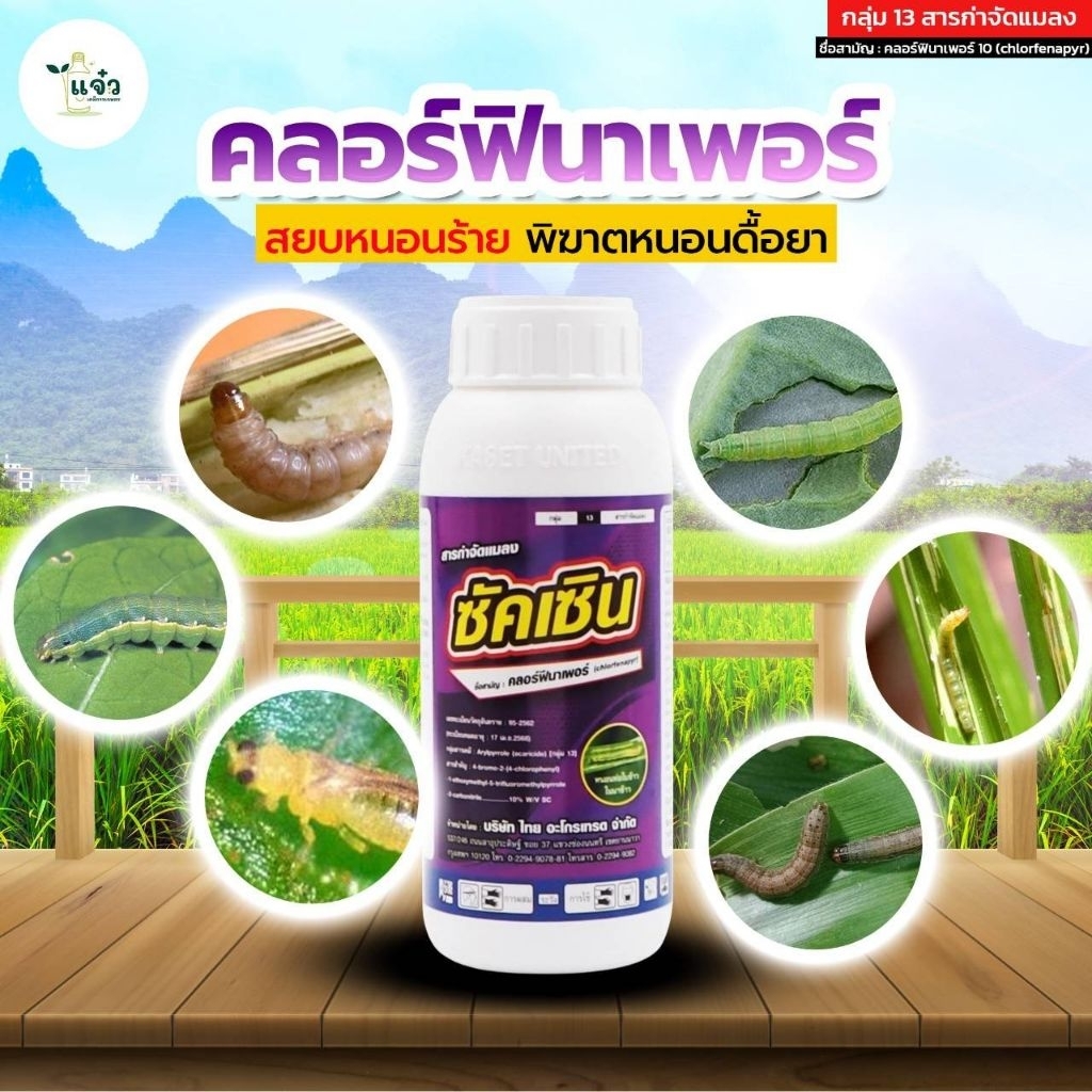 ซัคเซิน คลอร์ฟีนาเพอร์ 10  (1ลิตร) ป้องกันหนอนห่อใบข้าว หนอนกรัมทู้ข้าวโพด หนอนใยผัก หนอนกอ หนอนชอนใบ เพลี้ย ไร