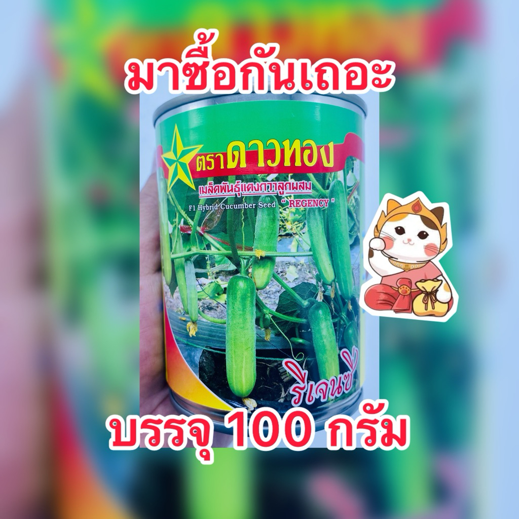 เมล็ดพันธุ์แตงกวา รีเจนซี่ ตราดาวทอง (สิ้นอายุ 09/70) บรรจุ100กรัม/กระป๋อง
