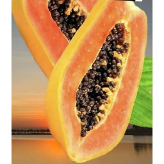 เมล็ดพันธุ์..มะละกอ........................