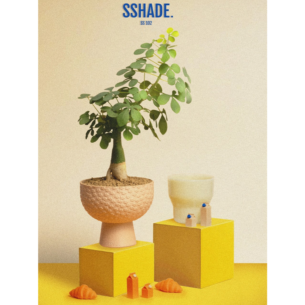 SShade | กระถางต้นไม้ รุ่น ss102