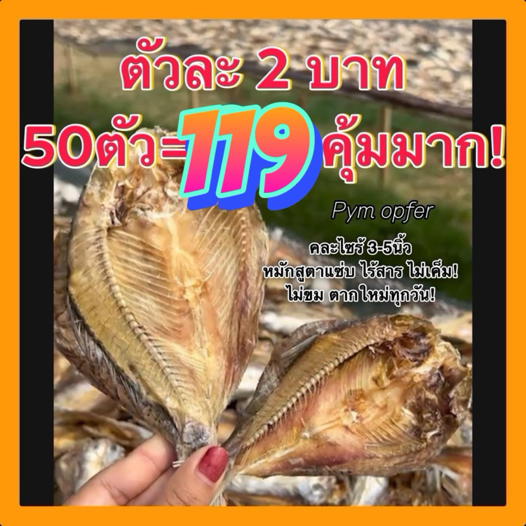 ส่งไว‼️ตัวละ2บาท ปลาขาวสร้อยตากแห้งสนิทปรุงแล้ว ไม่ขมไม่เค็ม ราคาถูกสุดจากชาวแพเขื่อนกาฬสินธุ์-ไซร้2-4นิ้ว(มินิ) ตัวน้อย