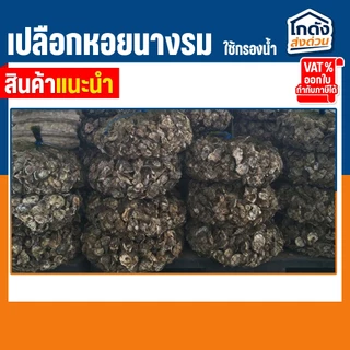 เปลือกหอยนางรม 6 kg.ใส่ถุงตาข่ายอวนเขียว พร้อมใช้งาน