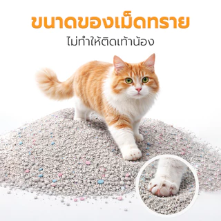 Petus ทรายแมว ทรายแมวเบนโทไนต์ กลิ่นแอปเปิ้ล cat litter ดูดซับเร็ว ใช้งานได้นาน ขนาด 5ลิตร 1ถุง